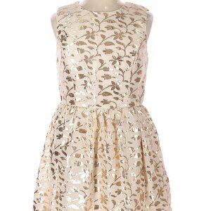Elegant Brocade dress